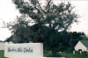 Under the Oaks_01a_s